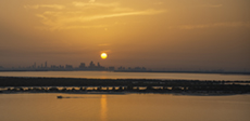 Tissue seminar Abu Dhabi