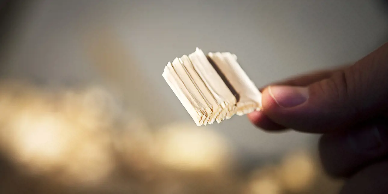 High-quality wood chip