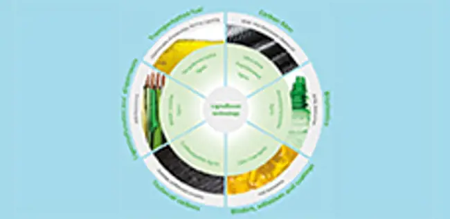 Lignin Upgraded - new lignin qualities