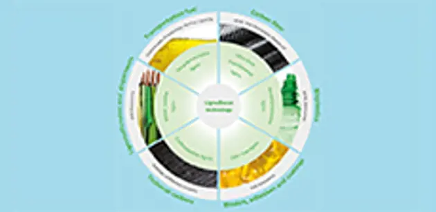 Lignin Upgraded - new lignin qualities