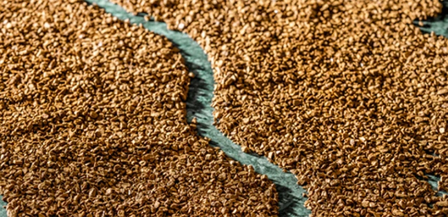 Stora Enso and Valmet collaborate to develop next-generation lignin 