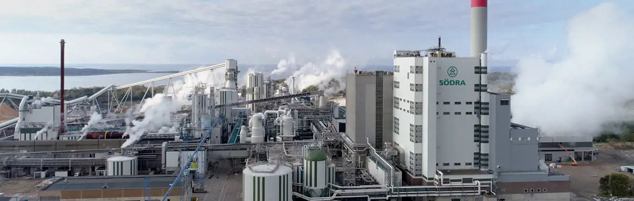 Pulp mill air emission control