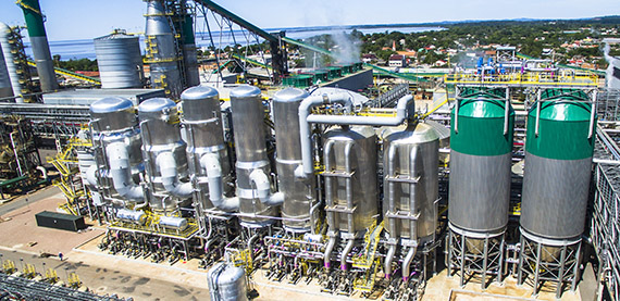 Technologies, automation and services for pulp production