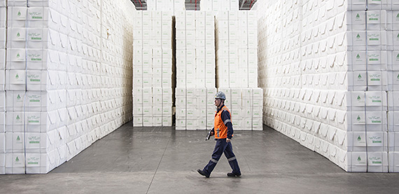 /globalassets/pulp/industry-front-page-blocks/fbl_1509_cmpc_guaiba-330-570-x-277.jpg