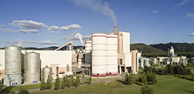One year of successful textile pulp production