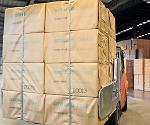 ARAUCO_Valdivia_300x250.jpg