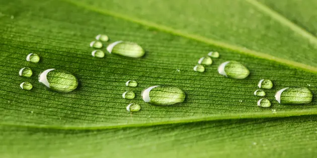 Valmet's smart solutions to minimize water footprint