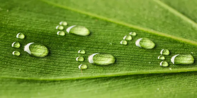 Valmet's smart solutions to minimize water footprint