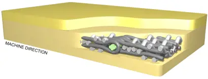 Valmet Press Felt SMO FT for tissue