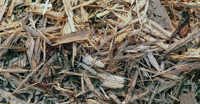 Valmet's role in the circular economy