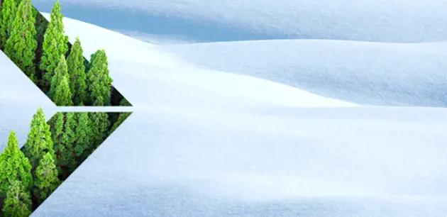 Valmet's Climate Program