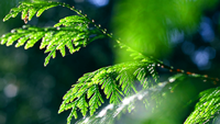 Sustainability articles