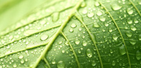 Decreasing water consumption towards 2030 targets