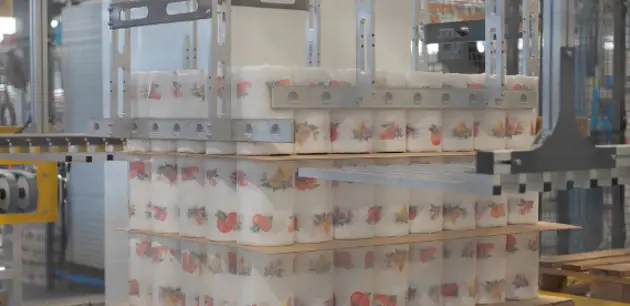 Integrated palletizing and packaging system