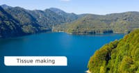 Tissue webinar: Optimizing the Water Cycle